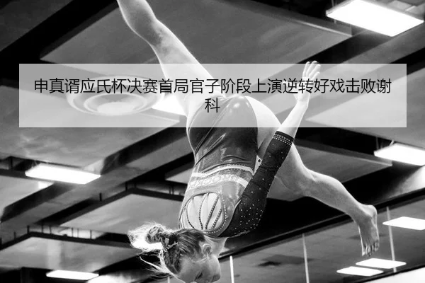 shen-zhen-xu-ying-shi-bei-jue-sai-shou-ju-guan-zi-jie-duan-shang-yan-ni-zhuan-hao-xi-ji-bai-xie-ke-3-637.jpg