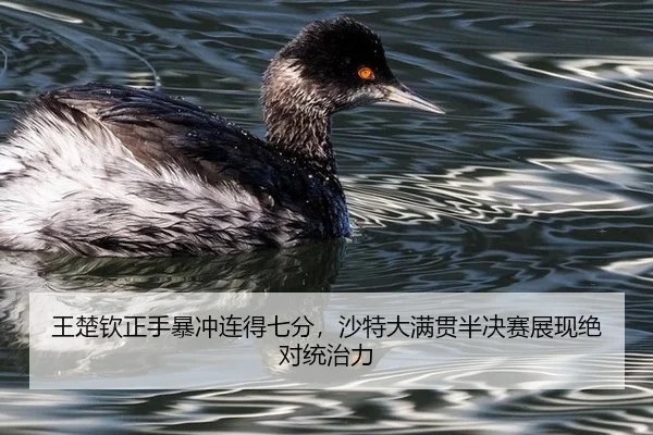wang-chu-qin-zheng-shou-bao-chong-lian-de-qi-fen-sha-te-da-man-guan-ban-jue-sai-zhan-xian-jue-dui-tong-zhi-li-2-708.jpg